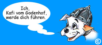 problem hund