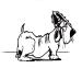 hund