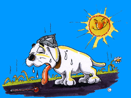 hundeschule