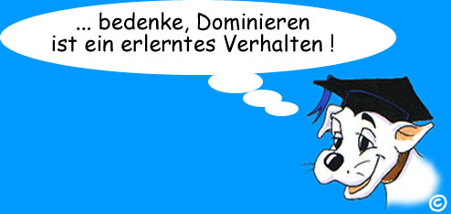 hundeschule