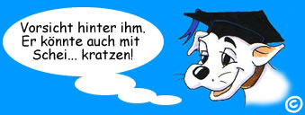 hunde ausbildung