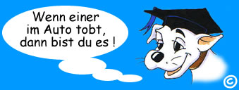 ferien mit hund