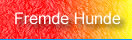 hunde problem