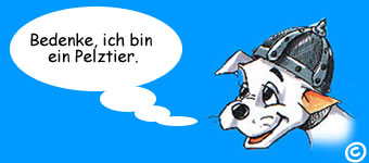 ferien mit hund