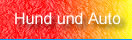 ferien mit hund