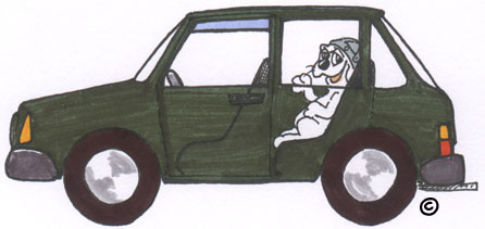 hunde
