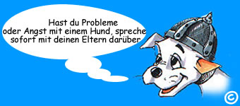 hunde hund sport