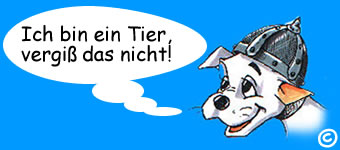 problem hund