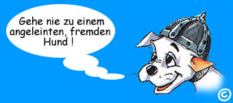 hund