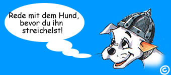 urlaub mit hund