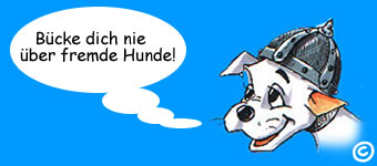 hunde