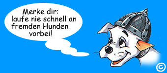 hund