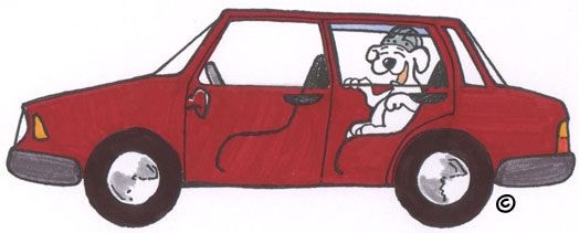 hunde ausbildung