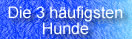 problem mit hund