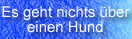 reisen mit hund