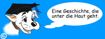 urlaub mit hund