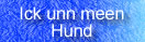 ferien mit hund