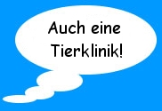 ferien mit hund