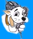 hunde notruf