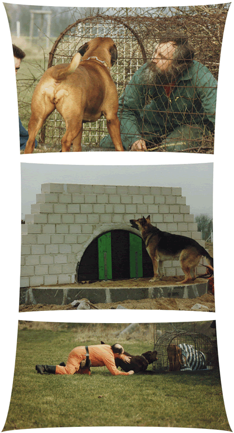 Hundeschule
