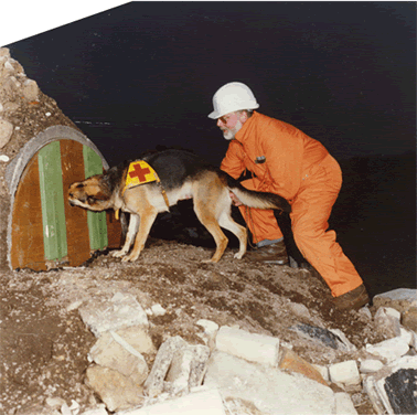 Hundeschule