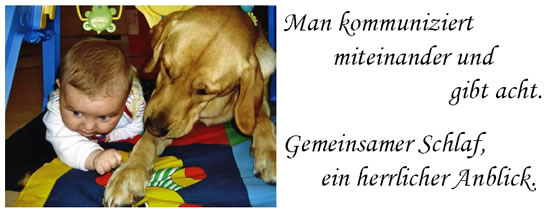 hunde