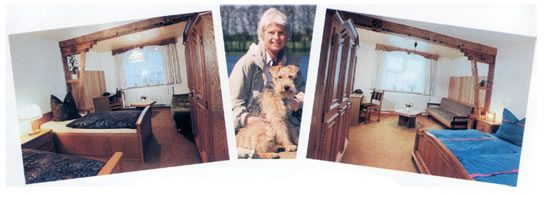 hunde
