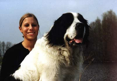 urlaub hund